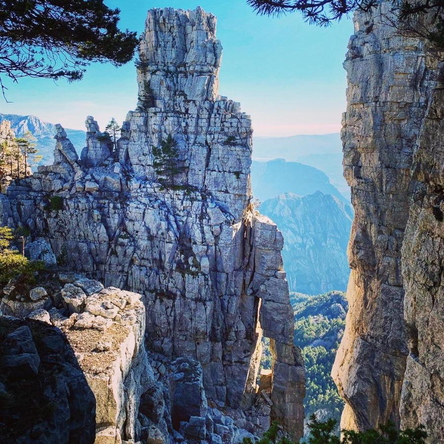 Gite D'Etape Bastide Petra Castellana Verdon Кастеллан Экстерьер фото